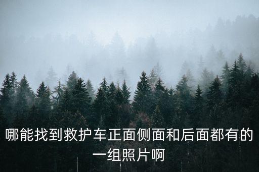 救護(hù)車圖片大全，請問這張圖片里白色的車子是不是美國的救護(hù)車