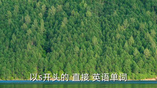 以s開頭的 直接 英語單詞