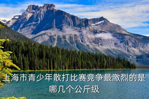上海市武術比賽，上海市青少年散打比賽競爭最激烈的是哪幾個公斤級