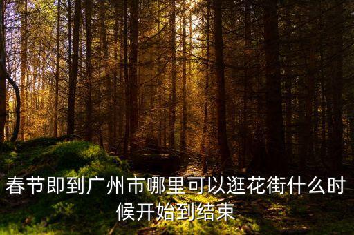 春節即到廣州市哪里可以逛花街什么時候開始到結束
