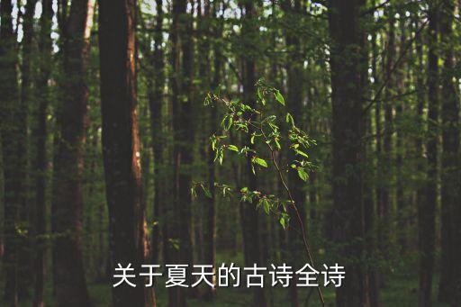 夏季詩句，關于夏天的好詩有哪些