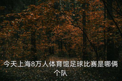 今天上海8萬人體育館足球比賽是哪倆個隊