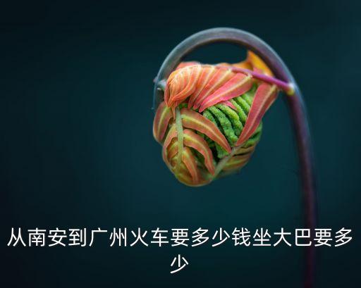 南安到廣州高鐵票價，從南安到廣州火車要多少錢坐大巴要多少