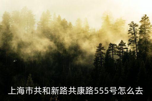 上海市共康路555號，上海市共和新路共康路555號怎么去