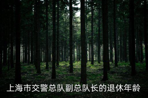 上海市交警總隊副總隊長的退休年齡