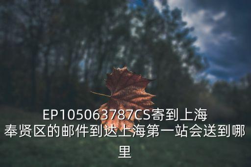 EP105063787CS寄到上海奉賢區的郵件到達上海第一站會送到哪里