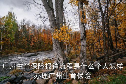 廣州生育醫(yī)療報銷預受理，廣州生育保險報銷流程是怎樣的