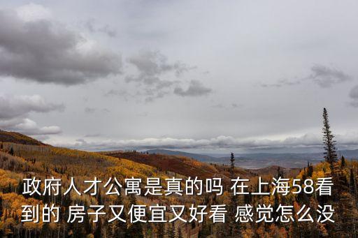 上海市人才公寓情況，上海人才公寓哪兒有啊去哪兒找啊