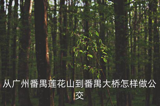 從廣州番禺蓮花山到番禺大橋怎樣做公交