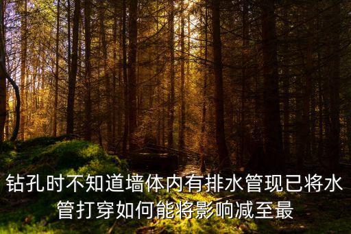 鉆孔時不知道墻體內有排水管現已將水管打穿如何能將影響減至最