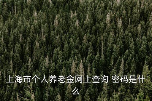 上海市個人養老金網上查詢 密碼是什么