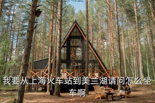 上海市到美蘭湖，我要從上海火車站到美蘭湖請問怎么坐車啊