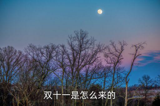雙十一背景，雙十一活動的由來是什么呢是誰發起的呢