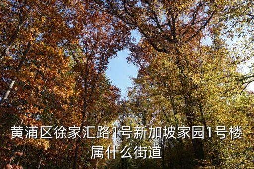上海市新加坡園景苑 居委會，黃浦區徐家匯路1號新加坡家園1號樓屬什么街道