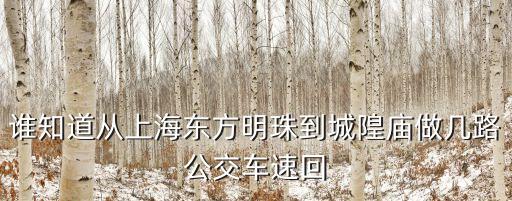 誰知道從上海東方明珠到城隍廟做幾路公交車速回