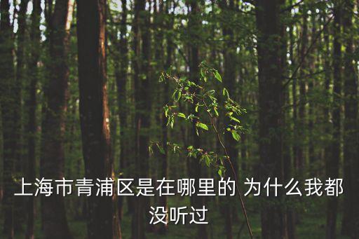 上海市青浦區是在哪里的 為什么我都沒聽過