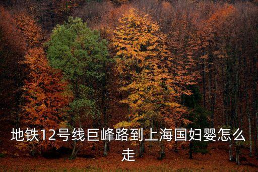 地鐵12號線巨峰路到上海國婦嬰怎么走