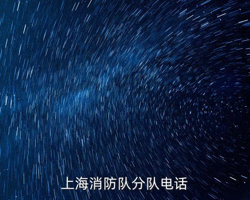 上海消防隊分隊電話