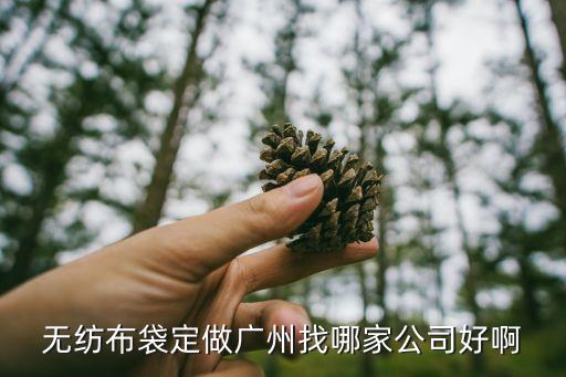 廣州禮品布袋，求廣州飾品袋