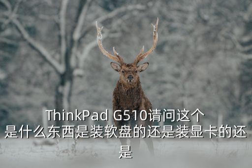 廣州軟膠塞防水防塵堵頭，ThinkPad G510請問這個是什么東西是裝軟盤的還是裝顯卡的還是