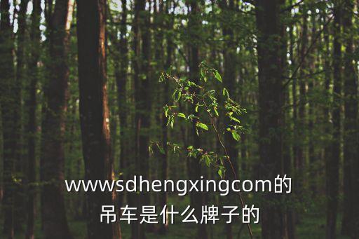 廣州源朗吊車，wwwsdhengxingcom的吊車是什么牌子的