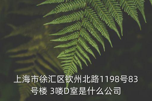 上海市徐匯區(qū)欽州北路1198號(hào)83號(hào)樓 3嘍D室是什么公司
