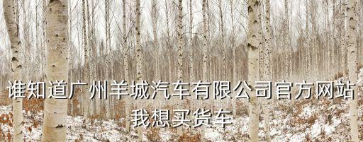廣州眾微貿易有限公司官網，誰知道廣州羊城汽車有限公司官方網站我想買貨車