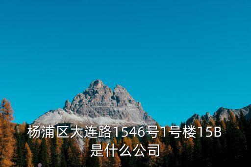 楊浦區大連路1546號1號樓15B是什么公司