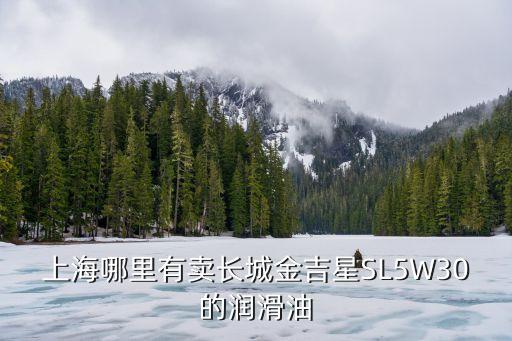上海市潤滑油商店，上海哪家潤滑油比較好