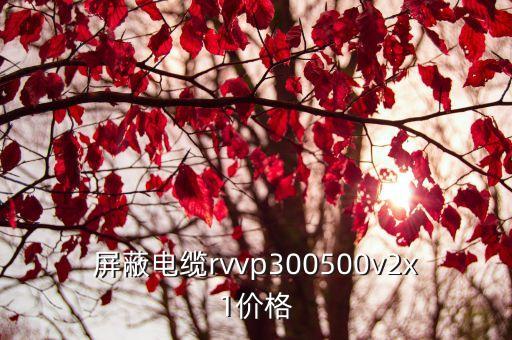 廣州屏蔽電纜接頭價格，屏蔽電纜rvvp300500v2x1價格