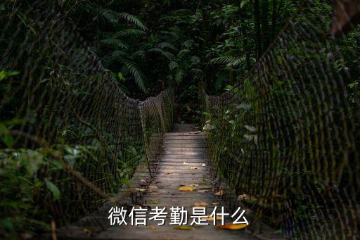 考勤，打考勤是什么意思