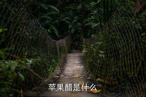 蘋果醋，蘋果醋是什么