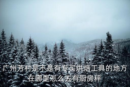 廣州芳村是不是有專買烘焙工具的地方在哪里怎么去有廚房秤