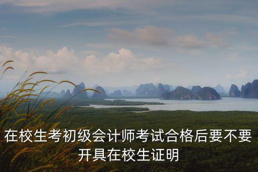 在校生考初級會計師考試合格后要不要開具在校生證明
