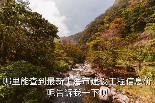 上海市建筑協(xié)會(huì)信息價(jià)，哪里能查到最新上海市建設(shè)工程信息價(jià)呢告訴我一下唄