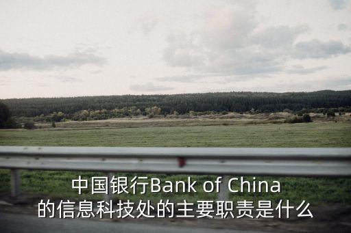 中國銀行Bank of China的信息科技處的主要職責是什么