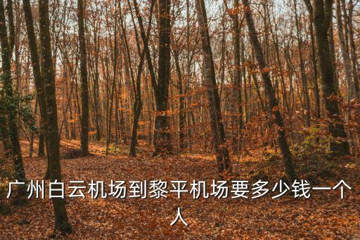 廣州白云機場到黎平機場要多少錢一個人