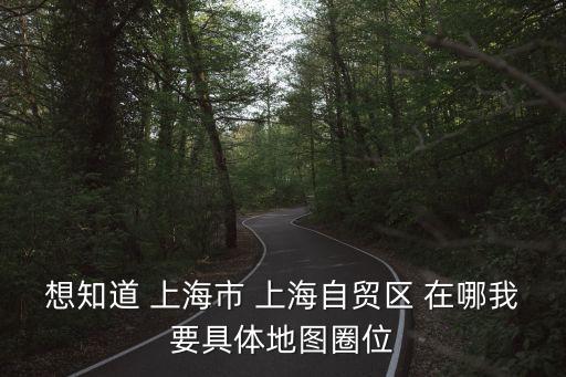 想知道 上海市 上海自貿區 在哪我要具體地圖圈位