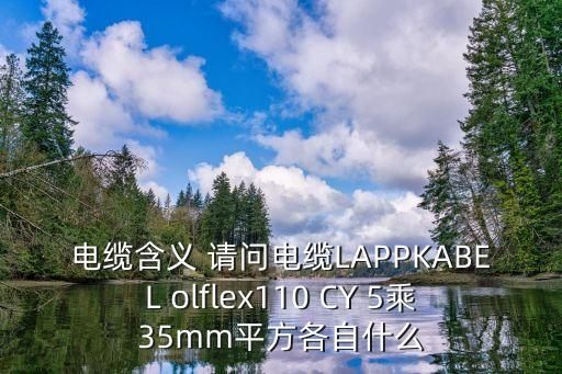 卡普電纜，電纜含義 請問電纜LAPPKABEL olflex110 CY 5乘35mm平方各自什么