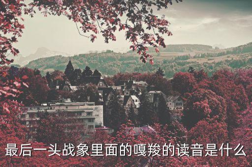 最后一頭戰(zhàn)象里面的嘎羧的讀音是什么