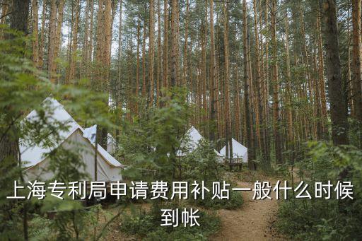 上海專利局申請(qǐng)費(fèi)用補(bǔ)貼一般什么時(shí)候到帳