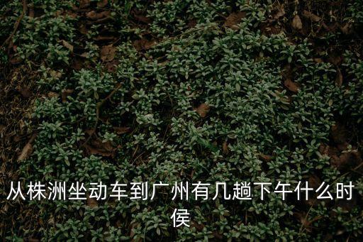 從株洲坐動車到廣州有幾趟下午什么時侯