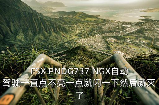 廣州文遠知行自動駕駛，FSX PNDG737 NGX自動駕駛一直點不亮一點就閃一下然后就滅了
