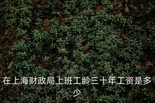 上海市財政局 工作，在上海財政局上班工齡三十年工資是多少
