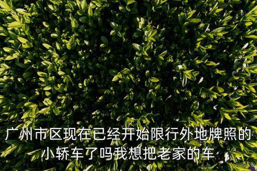 廣州市區現在已經開始限行外地牌照的小轎車了嗎我想把老家的車