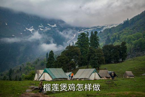 榴蓮雞湯，榴蓮雞湯的做法