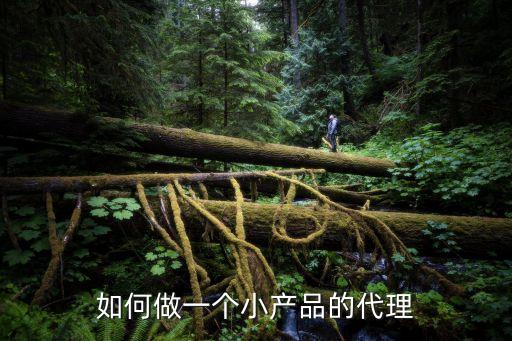 小商品代理，洛陽或鄭州有那些好的小商品代理商