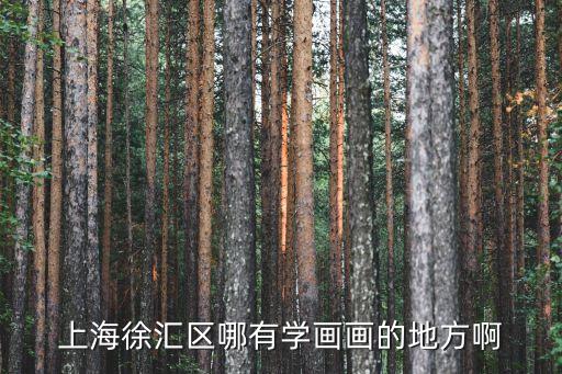 上海徐匯區哪有學畫畫的地方啊