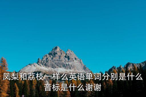 鳳梨和荔枝一樣么英語單詞分別是什么音標是什么謝謝