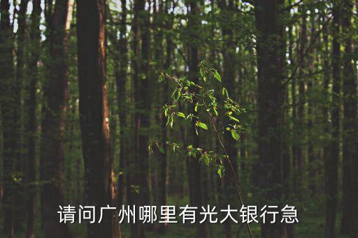 光大銀行廣州西華路，請問廣州哪里有光大銀行急